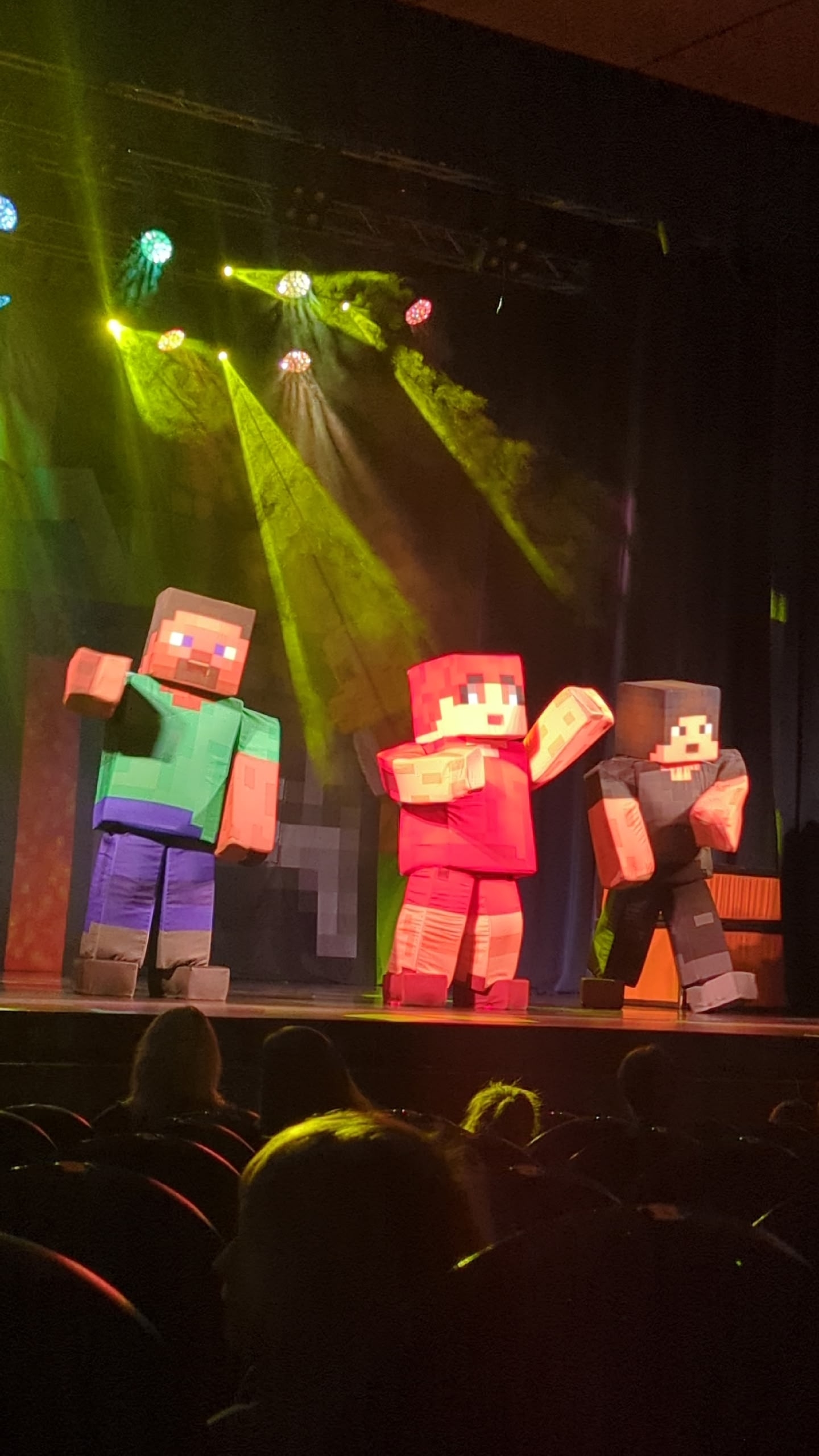 Шоу Minecraft Шоу Minecraft