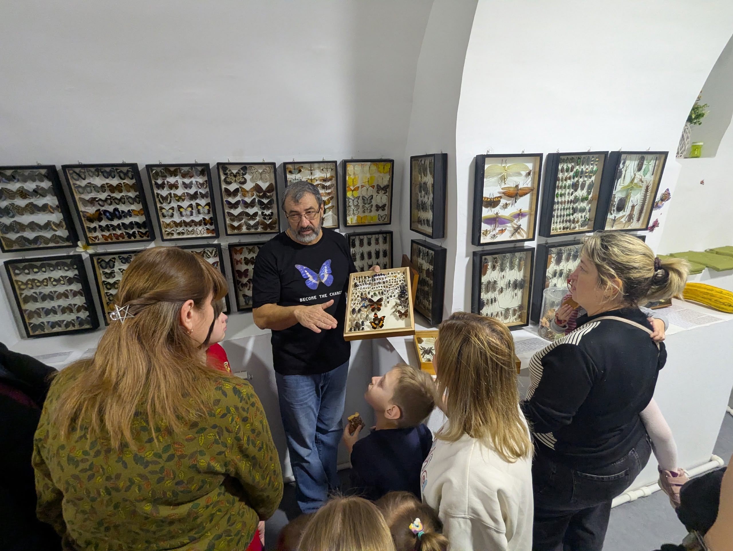 Интересная выставка БАБОЧЕК Интересная выставка БАБОЧЕК