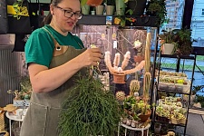 🌵 �������� ���: ��� ������� ���� ��� ���� � ������