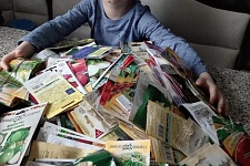 ������ ��� �� ��������: �������� ��������-�������� �������� ������� ������ �����