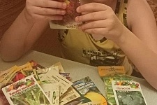 ������ ��� �� ��������: �������� ��������-�������� �������� ������� ������ �����