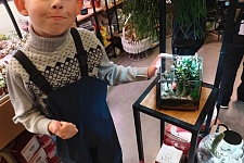 �������� ������� ��� | ������-������ | ����������